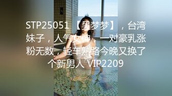 STP25051 【吴梦梦】，台湾妹子，人气女神，一对豪乳涨粉无数，轻车熟路今晚又换了个新男人 VIP2209