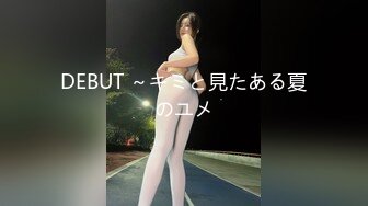 DEBUT ～キミと見たある夏のユメ