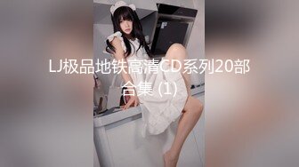 LJ极品地铁高清CD系列20部合集 (1)