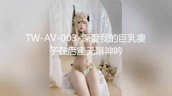 TW-AV-003-深爱我的巨乳妻子在后座无限呻吟