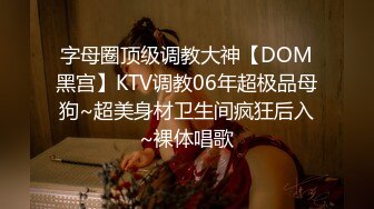 字母圈顶级调教大神【DOM黑宫】KTV调教06年超极品母狗~超美身材卫生间疯狂后入~裸体唱歌