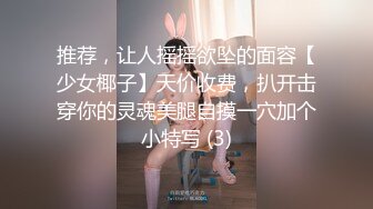 高颜值情侣泄密 · 需要强壮凶狠的男友，粗口加高频抽插爽到胡言乱语，时而天台寻刺激！