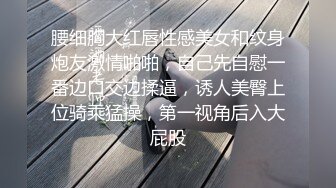 腰细胸大红唇性感美女和纹身炮友激情啪啪，自己先自慰一番边口交边揉逼，诱人美臀上位骑乘猛操，第一视角后入大屁股