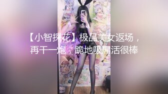 【小智探花】极品美女返场，再干一炮，跪地吸屌活很棒