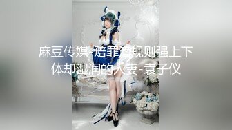 麻豆传媒-赔罪潜规则强上下体却湿润的人妻-袁子仪