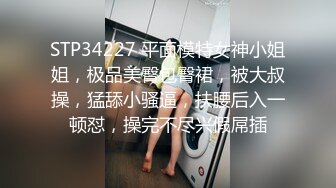 2 女同性恋者 1 鸡巴 (66a8ee06d2886)