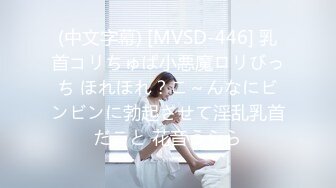 【新片速遞】 麻豆传媒 MD-0265 丰满汽车女销售的车震推销-莫夕慈