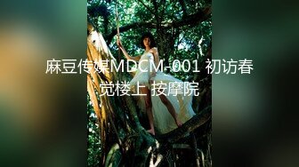 麻豆传媒MDCM-001 初访春觉楼上 按摩院