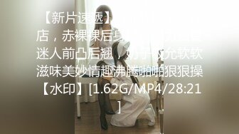 麻豆传媒古装女神系列新作-『现代金瓶梅』同僚的秘密性爱 新晋女神倪哇哇首作 高清720P原版首发