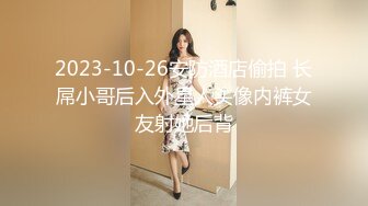 你的女王 极品大长腿御姐范美女 性感内衣诱惑 露奶 特写BB 道具插B