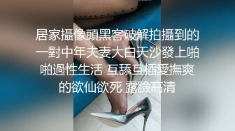 大象傳媒 AV0044 女模禁欲三周多人大噴發 史黛芬妮