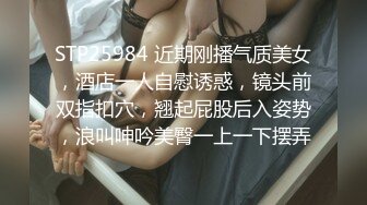 放浪传媒FX-0015性感圣诞女郎上门榨精