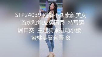 91Sison素人約啪系列第9季：E杯轻熟人妻诱惑