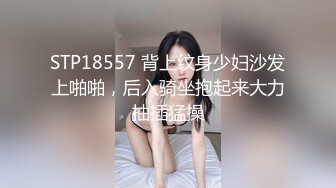 后入骚货丝袜女友