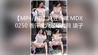 極品女模特唯美誘惑 (高清寫真視頻)