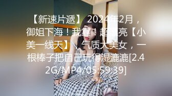 紫晴巨乳美姬之上了黑道大哥的女人掰穴鉴赏名姬鲜穴2