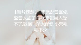 七七娜娜子 - 写真图包合集12套