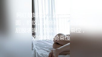 大黑JB插黑丝网状情趣内衣