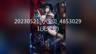 麻豆传媒MM-061 公厕痴女