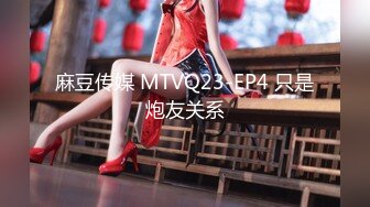 麻豆传媒 MTVQ23-EP4 只是炮友关系