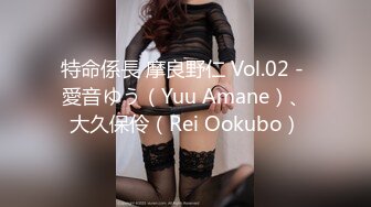 特命係長 摩良野仁 Vol.02 - 愛音ゆう（Yuu Amane）、大久保伶（Rei Ookubo）