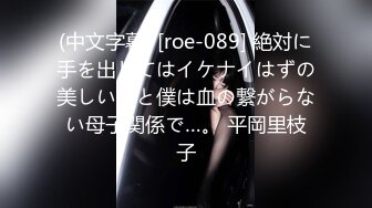 (中文字幕) [roe-089] 絶対に手を出してはイケナイはずの美しい母と僕は血の繋がらない母子関係で…。 平岡里枝子