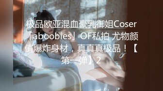 极品欧亚混血豪乳御姐Coser「aboobies」OF私拍 尤物颜值爆炸身材，真真真极品！【第一弹】2