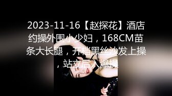 2023-11-16【赵探花】酒店约操外围小少妇，168CM苗条大长腿，开档黑丝沙发上操，站立后入爆操